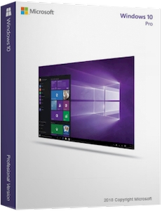 Windows 10 Professional