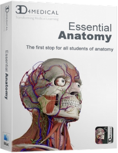 Essential Anatomy